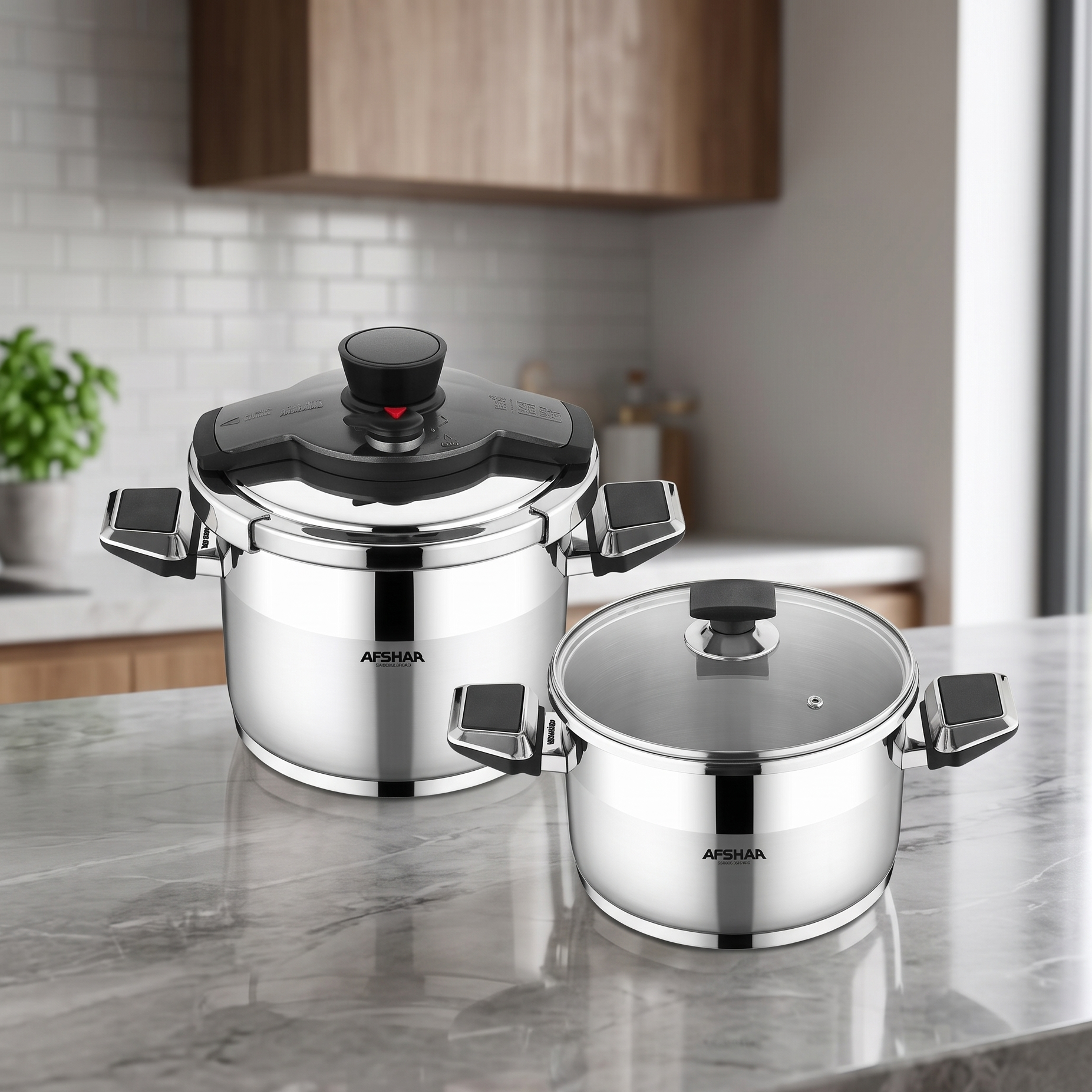 Arshia Stainless Steel Twin Pressure Cooker 4L+7L Gray